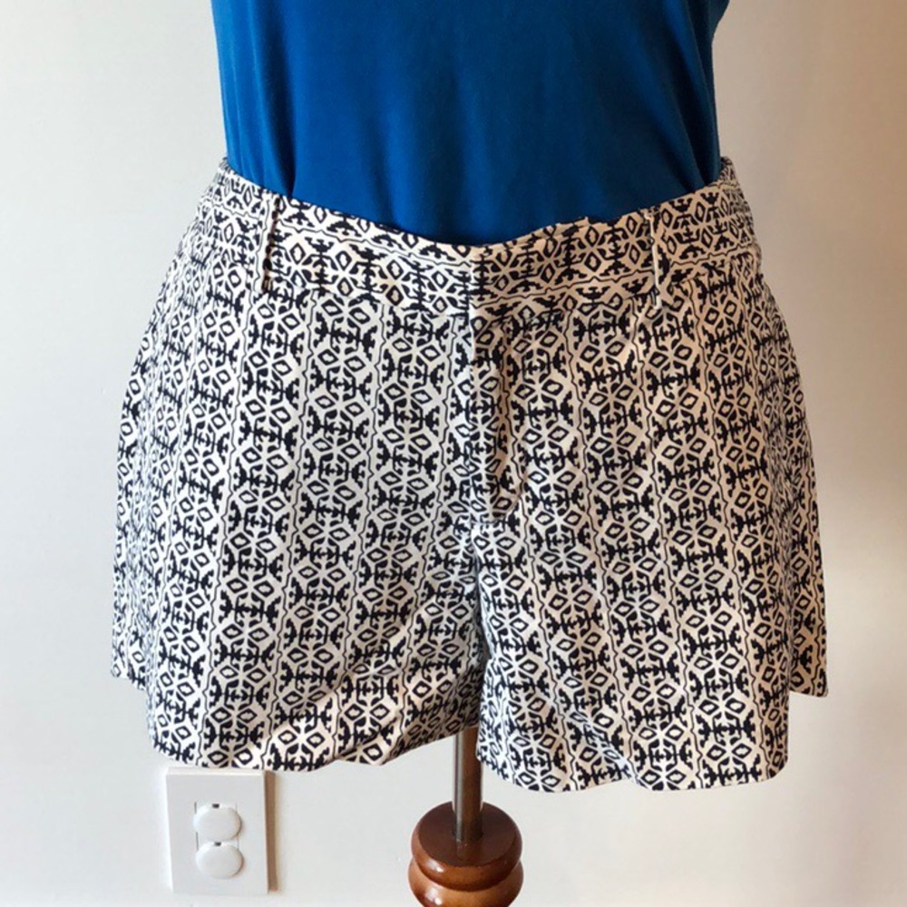 Navy/black and white shorts